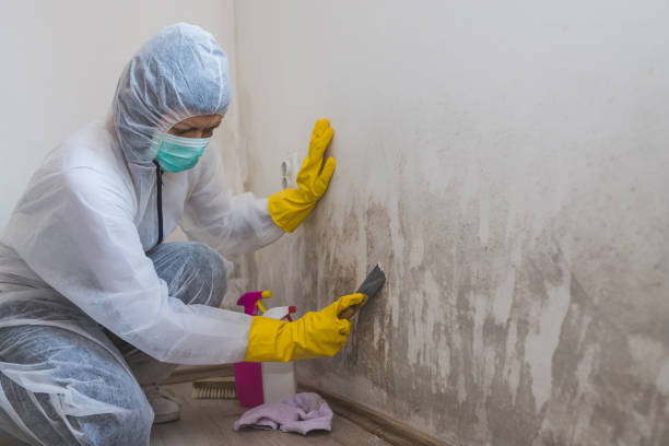 Best Water Damage Restoration  in Audubon, PA