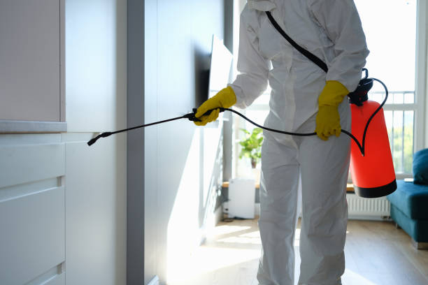 Attic Mold Removal in Audubon, PA