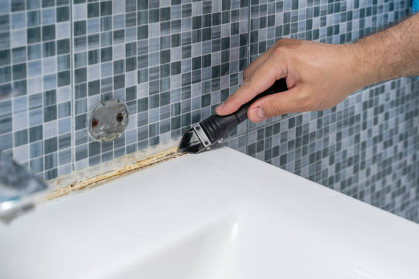 Best Mold Removal Near Me  in Audubon, PA