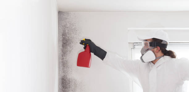 Best Crawl Space Mold Removal  in Audubon, PA