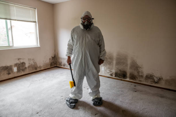Best Mold Inspection  in Audubon, PA